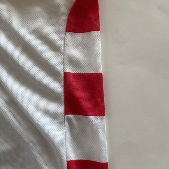 Scranton/Wilkes-Barre RailRiders Jersey #16 Sz S US Flag Froggy 101 Patriotic - Picture 10 of 10